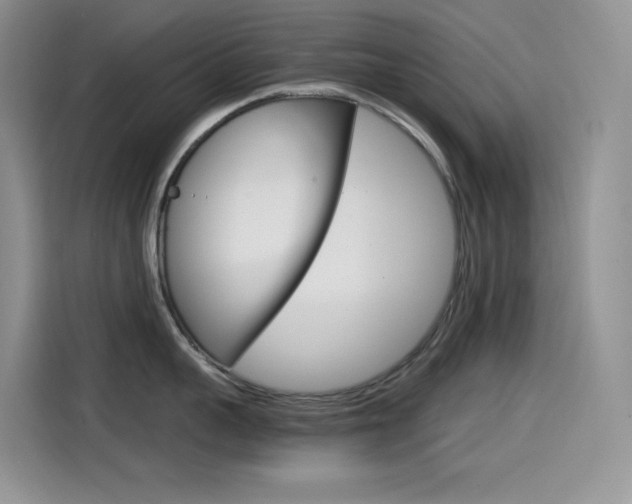 X0000114600959200910191051