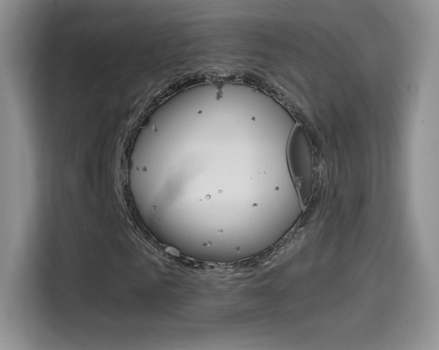 X0000114600961200910191051