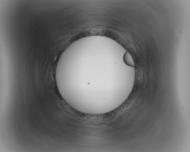 X0000114600962200910191051
