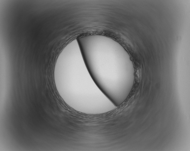 X0000114600963200910191051