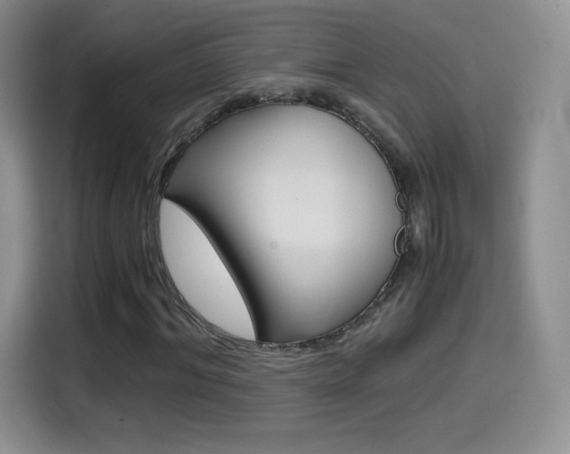 X0000114600964200910191051