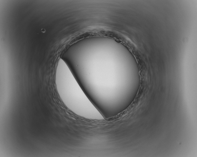 X0000114600965200910191051