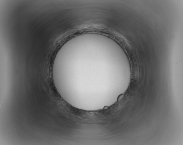 X0000114600966200910191051