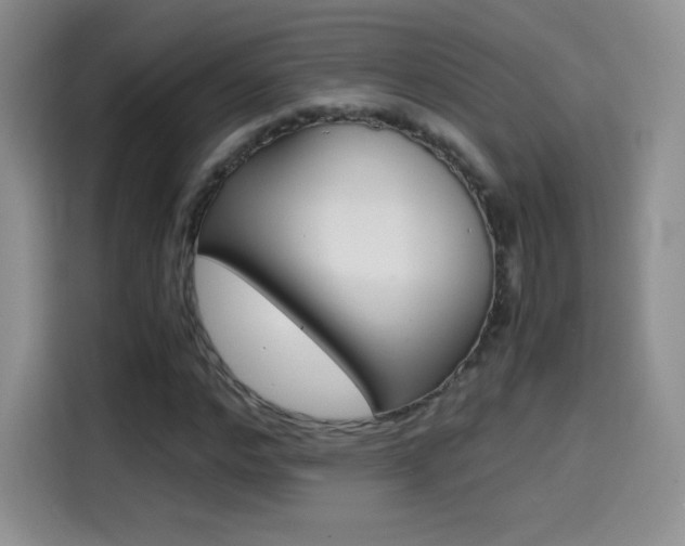 X0000114600968200910191051