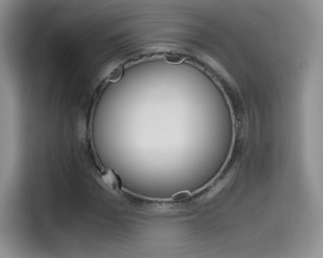 X0000114600969200910191051