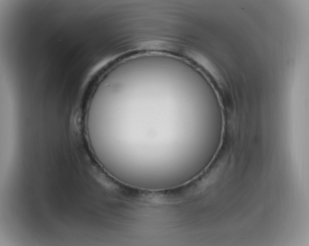 X0000114600971200910191051