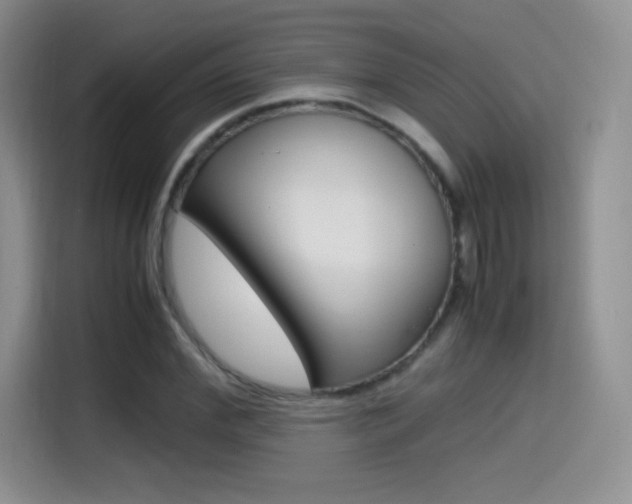 X0000114600972200910191051
