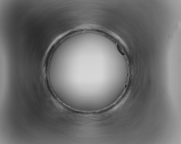 X0000114600973200910191051