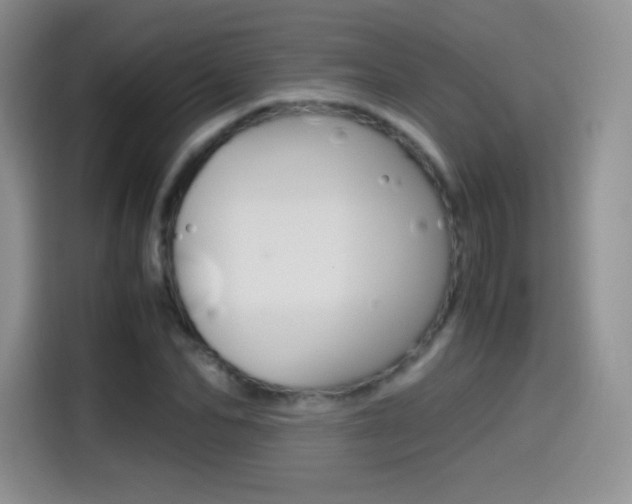 X0000114600974200910191051