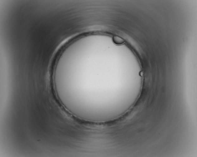 X0000114600975200910191051
