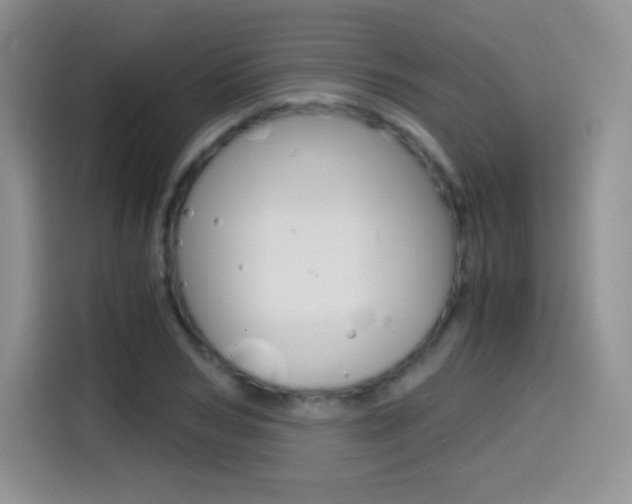 X0000114600978200910191051