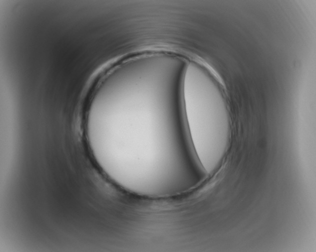 X0000114600979200910191051