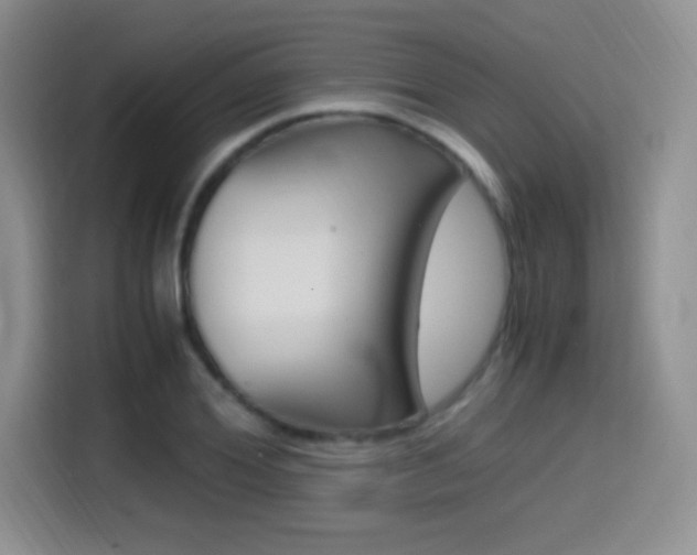 X0000114600980200910191050