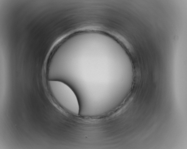X0000114600982200910191050