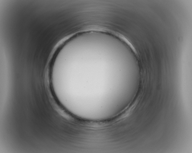 X0000114600987200910191050