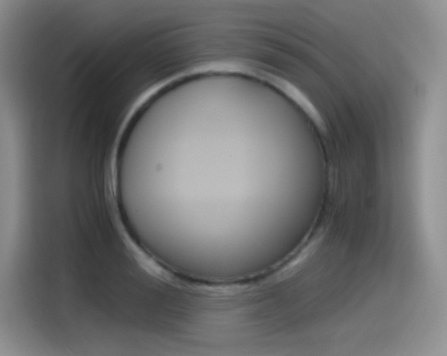 X0000114600988200910191050