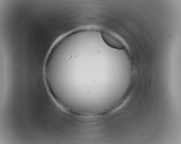 X0000114600989200910191050