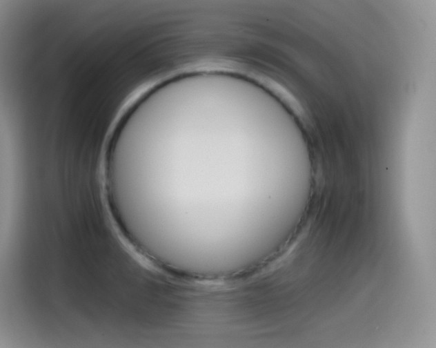 X0000114600990200910191050