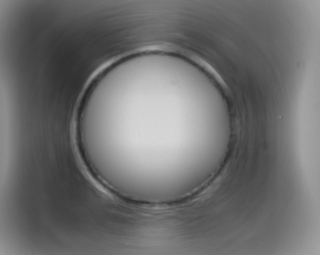 X0000114600991200910191050