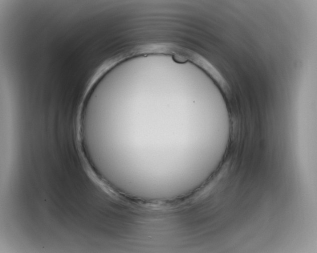 X0000114600994200910191050