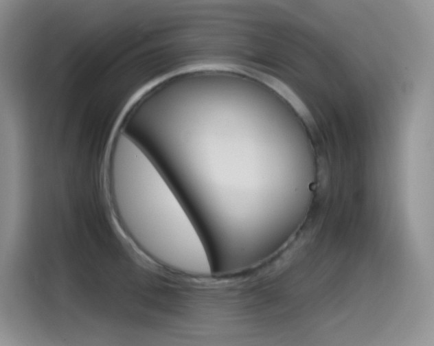 X0000114600996200910191050
