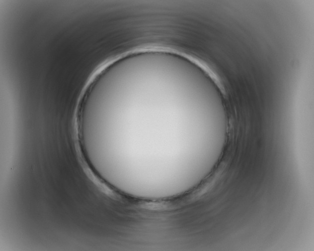 X0000114600998200910191050