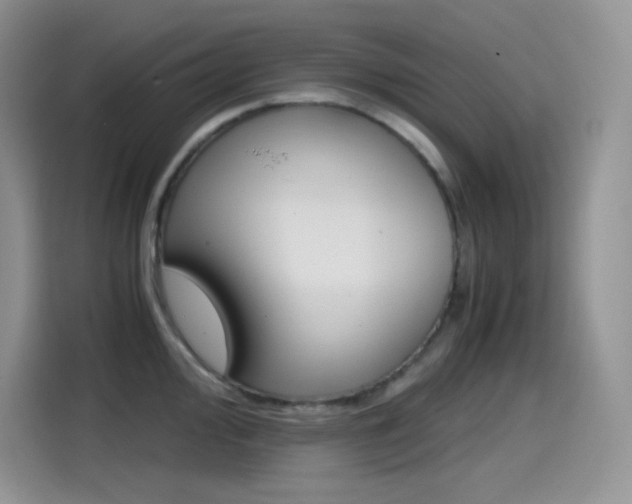 X0000114601000200910191050