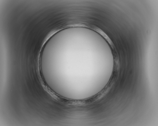 X0000114601002200910191050