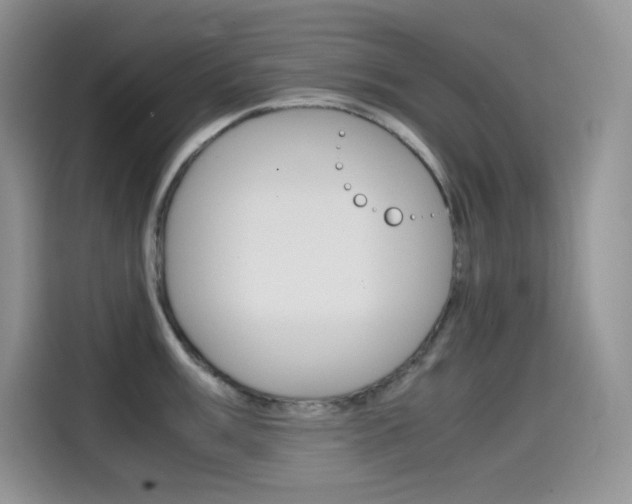 X0000114601003200910191050