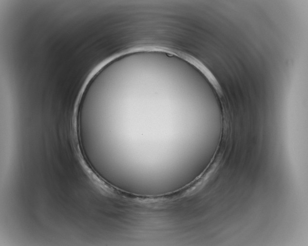 X0000114601004200910191050