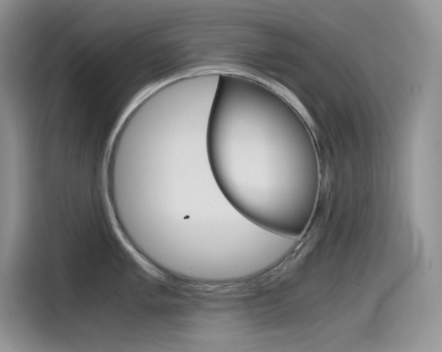 X0000114601005200910191050