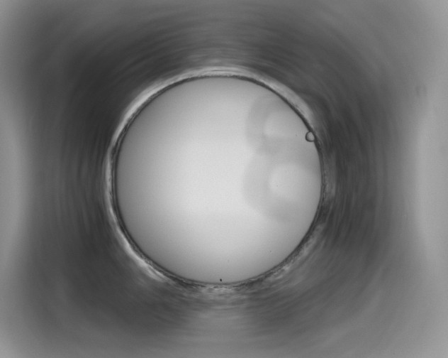 X0000114601006200910191050