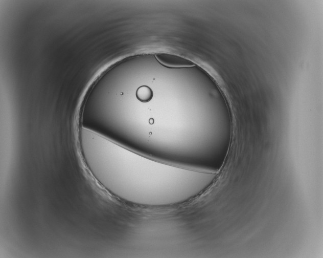 X0000114601008200910191050