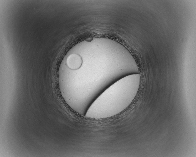 X0000114601009200910191050