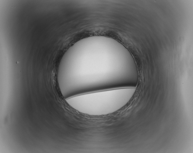X0000114601010200910191050