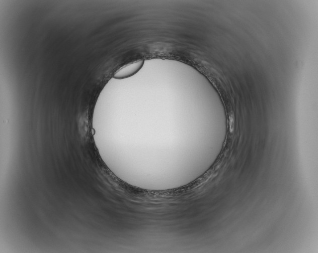 X0000114601011200910191050
