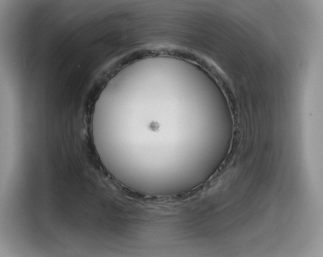 X0000114601016200910191050