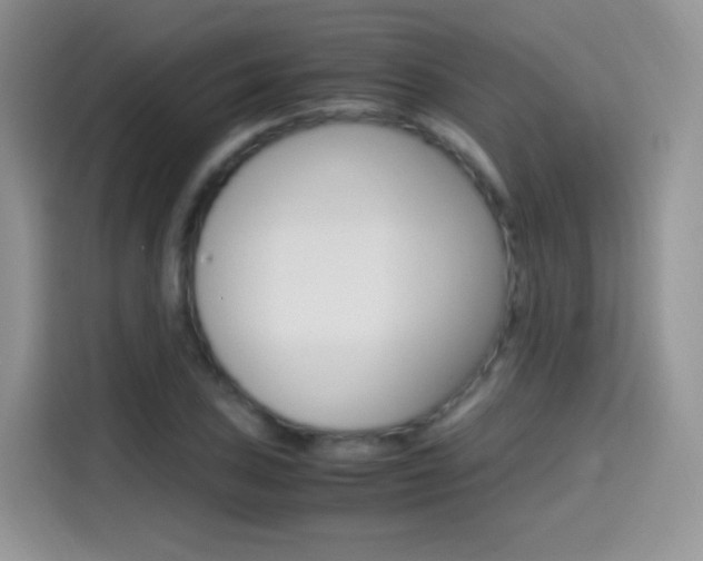 X0000114601027200910191050