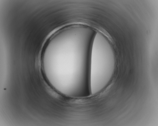 X0000114601028200910191050