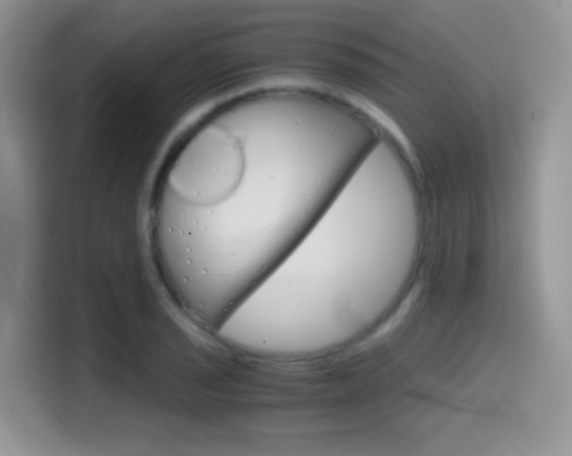 X0000114601029200910191050