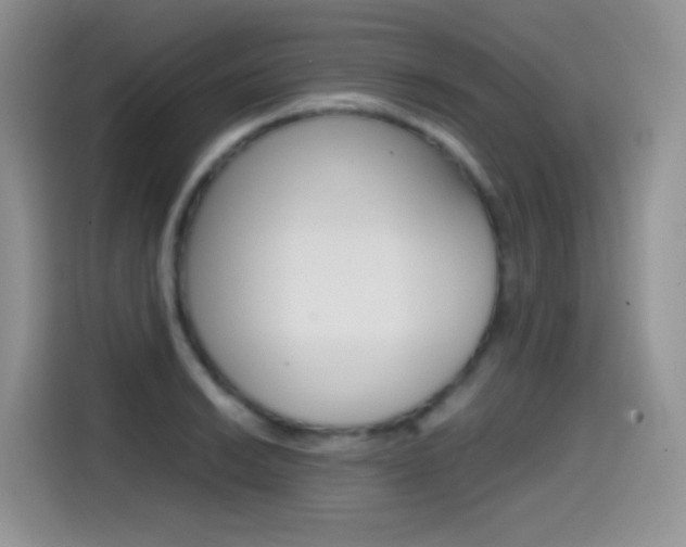 X0000114601038200910191050