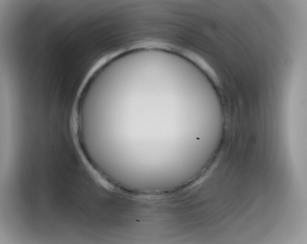X0000114601040200910191050