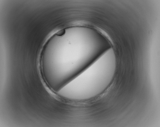 X0000114601042200910191050