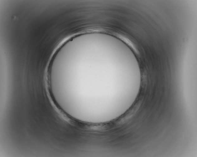 X0000114601047200910191050