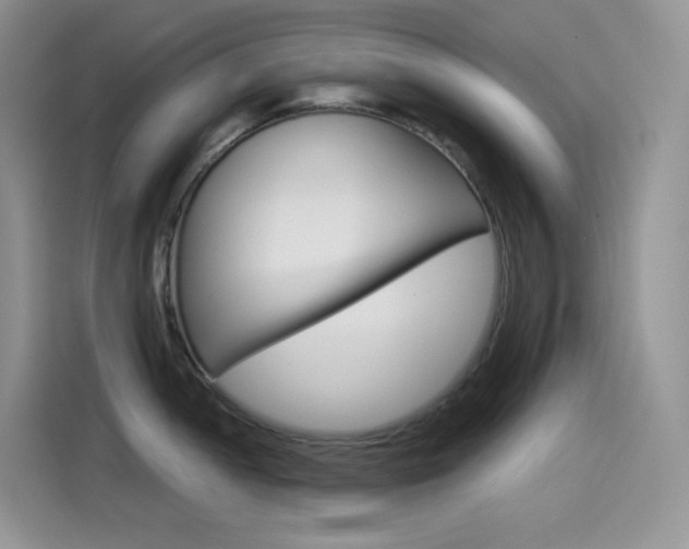X0000114601052200910191050