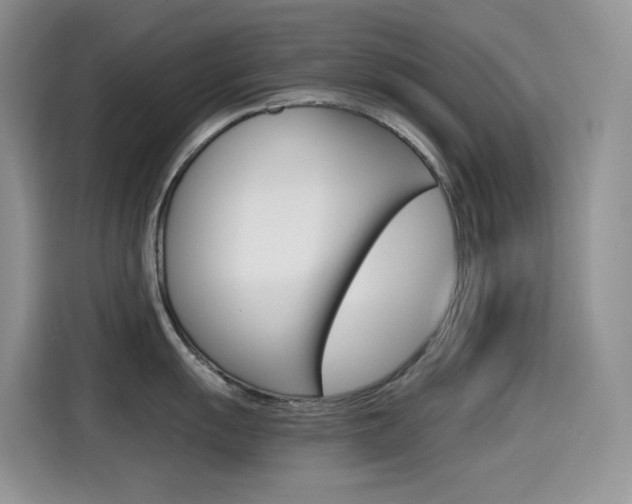 X0000114601055200910191050