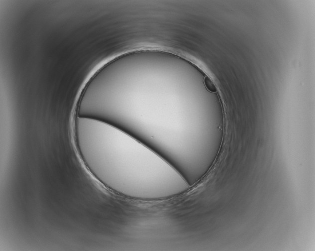 X0000114601056200910191050