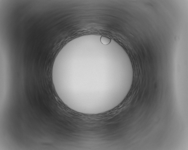 X0000114601060200910191049