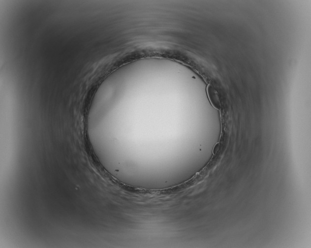 X0000114601061200910191049