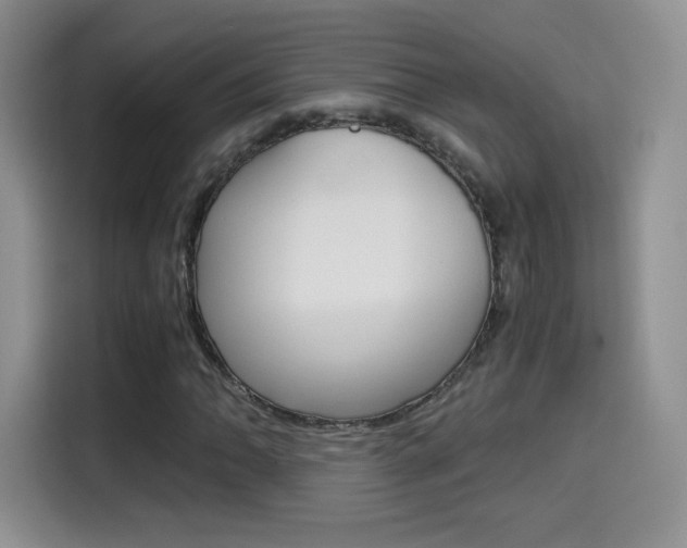 X0000114601062200910191049